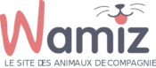 Wamiz